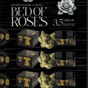 Hitz Premium Indoor Bed of Roses Flower high quality indoor grown premium flower product